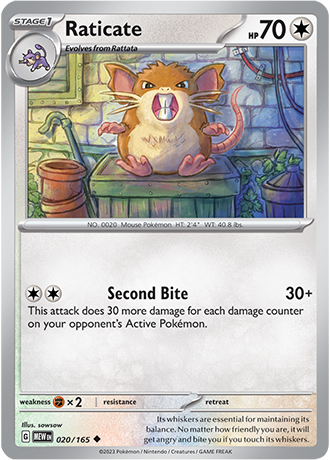 020 - Raticate