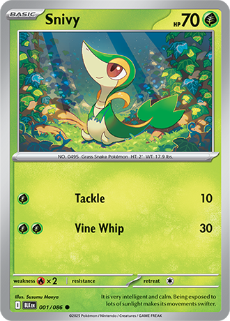 001 Snivy