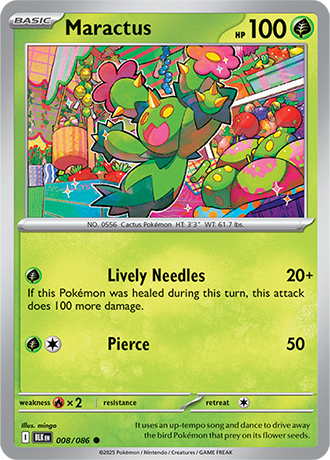 008 Maractus
