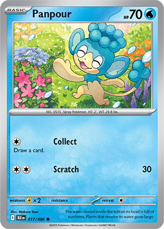 017 Panpour