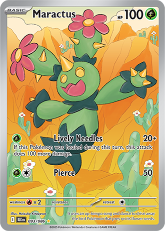 093 Maractus