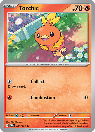 040 Torchic
