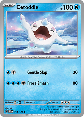 064 Cetoddle