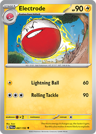 067 Electrode