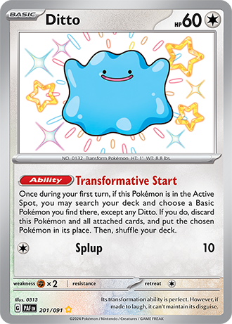 201 Ditto