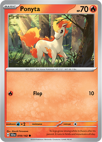 019 Ponyta