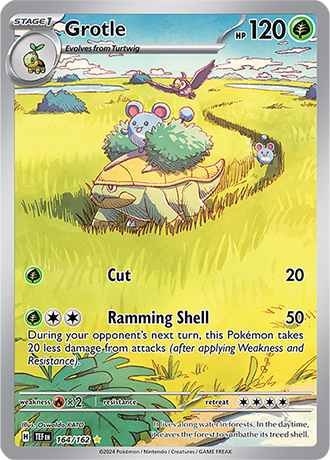 164 Grotle