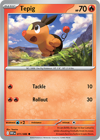 011 Tepig