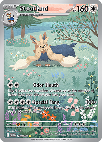 156 Stoutland